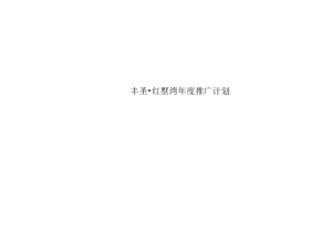 太原红墅湾项目推广计划.docx