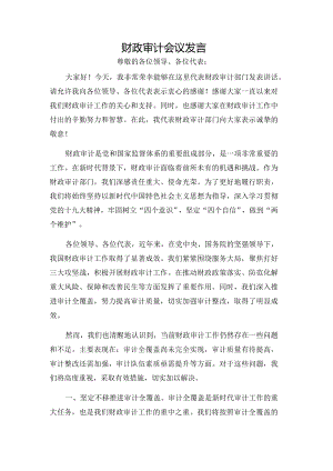 财政审计会议发言.docx