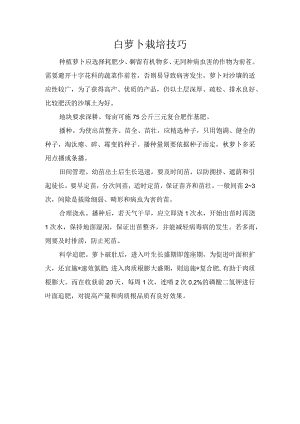 白萝卜栽培技巧.docx