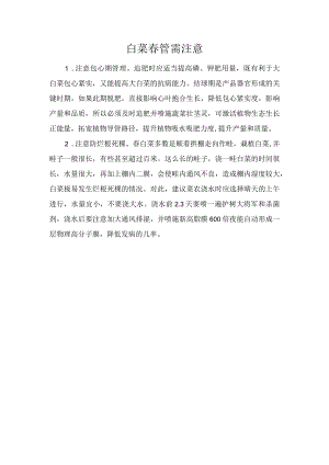 白菜春管需注意.docx