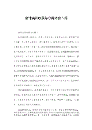 会计实训收获与心得体会5篇.docx