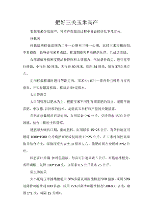 把好三关玉米高产.docx