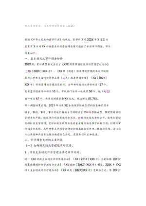 重点专项资金：绩效专项审计报告（收藏）.docx