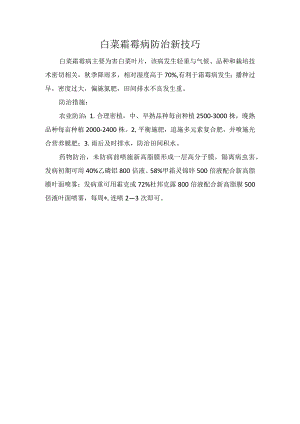 白菜霜霉病防治新技巧.docx