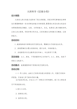 幼儿园：大班-《层级分类》.docx