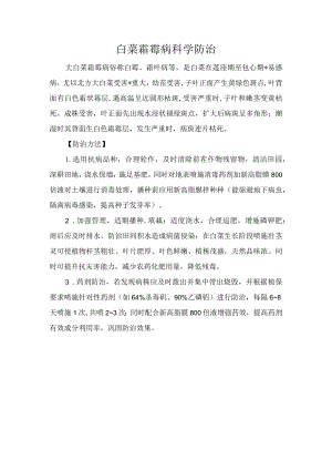 白菜霜霉病科学防治.docx