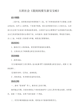 幼儿园：大班-《我妈妈要生新宝宝啦》.docx