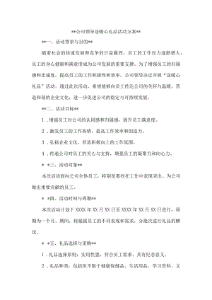 公司领导送暖心礼品活动方案.docx