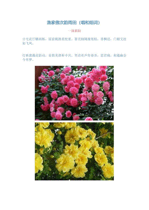 3226.渔家傲次韵雨田（唱和组词）2024年4月1日.docx