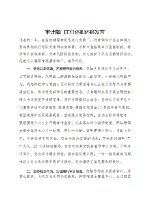 审计部门主任述职述廉发言.docx