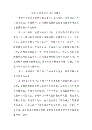组织系统培训研讨心得体会.docx
