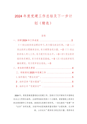 2024年度党建工作总结及下一步计划（精选）.docx