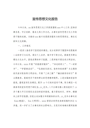 宣传思想文化报告.docx
