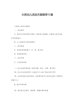 大班幼儿活动方案推荐5篇.docx