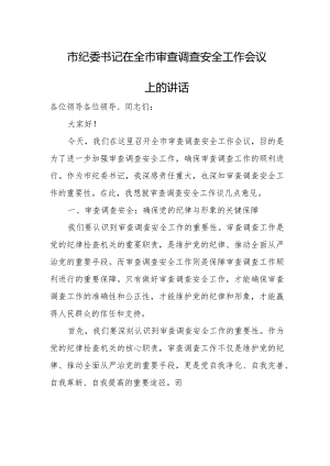 市纪委书记在全市审查调查安全工作会议上的讲话.docx