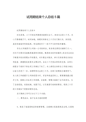 试用期结束个人总结5篇.docx