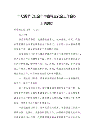 市纪委书记在全市审查调查安全工作会议上的讲话.docx
