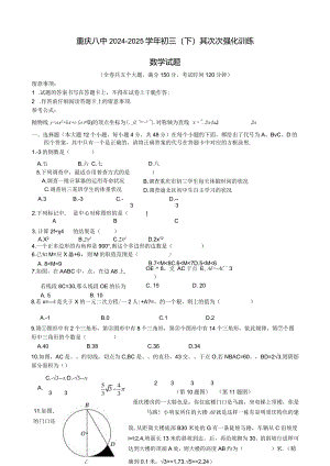 重庆八中2024-2025学年初三（下）第二次强化训练数学试题.docx