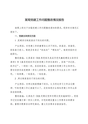 某局党建工作问题整改情况报告.docx