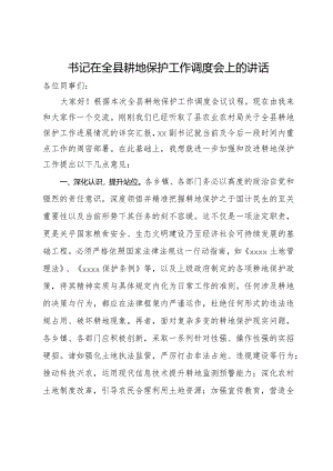 书记在全县耕地保护工作调度会上的讲话.docx