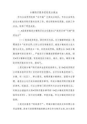 乡镇购买服务经验亮点做法.docx