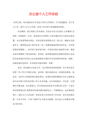 政府办公室个人工作总结.docx