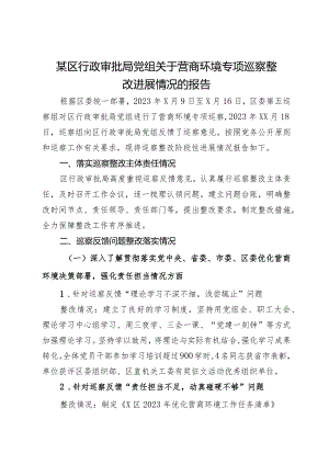 某区行政审批局党组关于营商环境专项巡察整改进展情况的报告.docx