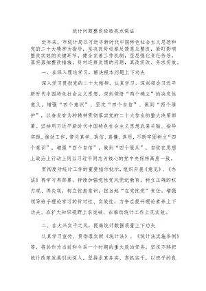 统计问题整改经验亮点做法.docx