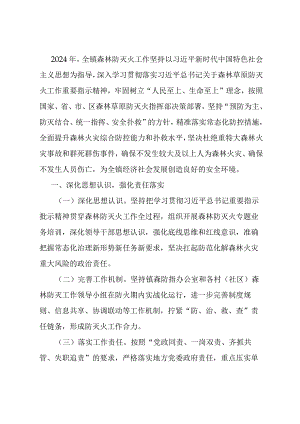 镇2024年森林防灭火工作要点.docx
