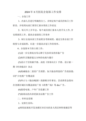 2024年3月医院企划部工作计划.docx