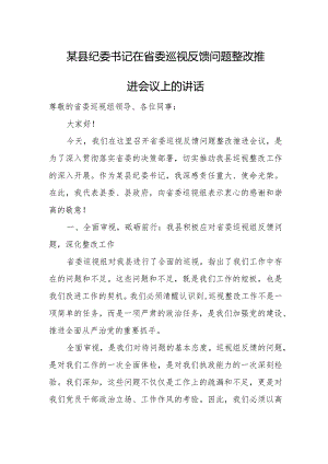 某县纪委书记在省委巡视反馈问题整改推进会议上的讲话.docx