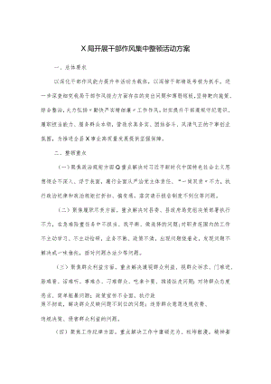 X局开展干部作风集中整顿活动方案.docx