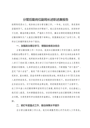 分管后勤岗位副局长述职述廉报告.docx