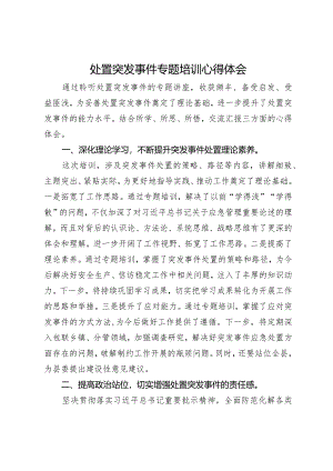 处置突发事件专题培训心得体会.docx