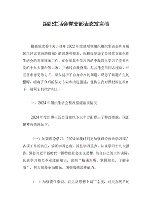 组织生活会党支部表态发言稿.docx