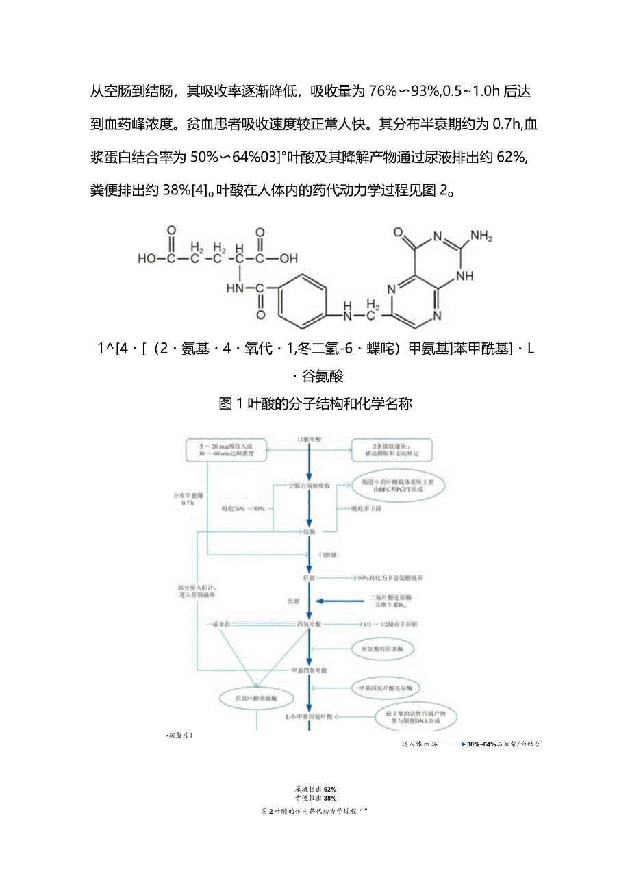 最新：中国临床合理补充叶酸多学科专家共识重点内容.docx_第3页