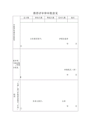推荐评审和审批意见.docx