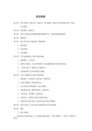 公司奖惩制度.docx