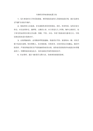 车辆伤害事故现场处置方案.docx