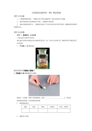 《活泼的金属单质—钠》精品教案.docx