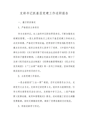 支部书记抓基层党建工作述职报告.docx