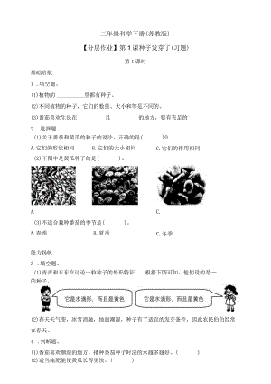三年级科学下册同步（苏教版）1-1种子发芽了同步练习（含答案）.docx