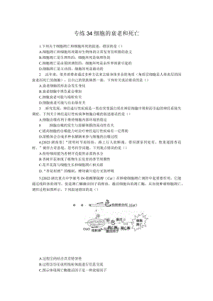 专练34细胞的衰老和死亡.docx