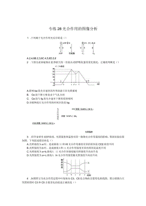 专练28光合作用的图像分析.docx