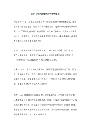 2024中国大动脉炎诊疗指南要点.docx