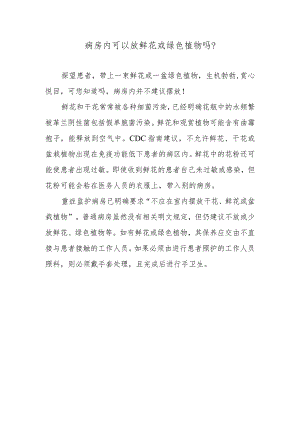 病房内可以放鲜花或绿色植物吗？.docx