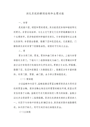 消化系统的解剖结构和生理功能.docx