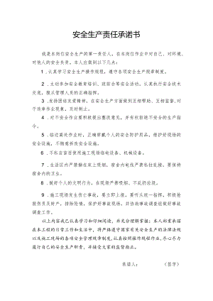 安全生产责任承诺书.docx