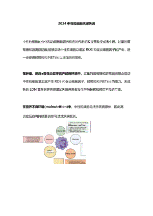 2024中性粒细胞代谢失调.docx