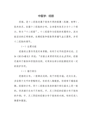 中医学：经筋.docx